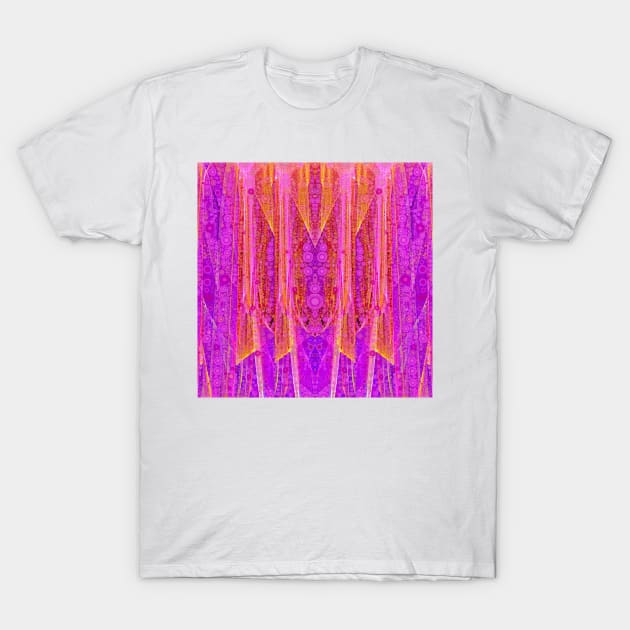 Delicate Serape T-Shirt by DANAROPER